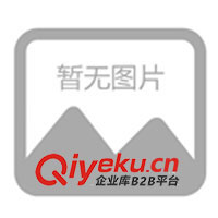 供12寸全塑十葉電子扇 電子扇 冷凝器 汽車空調(diào)扇